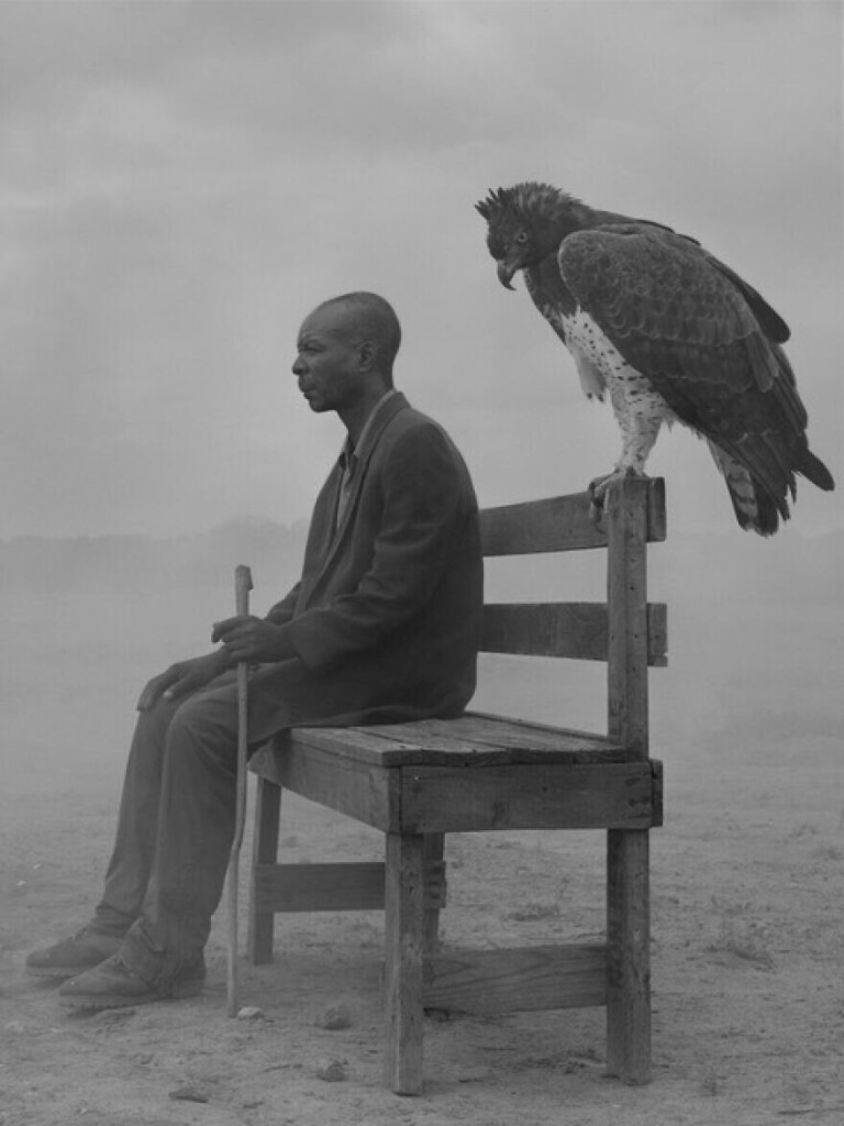 Photography. Black and white photograph of a man with a bird of prey. In a barren desert landscape, a man sits on a high, rickety wooden bench. He can be seen from the side and is wearing an old black suit. The black man with short hair holds a scrawny, long wooden stick in his left hand and looks ahead. Desert sand swirls through the air. In the foreground, a giant bird of prey sits on the back of the bench with its head slightly bowed. Everything about this photo raises questions. The bench in the sandstorm, the quiet sitting of the two, the threatening looking bird, the stick of the man ..., in short a great photo with a special atmosphere.