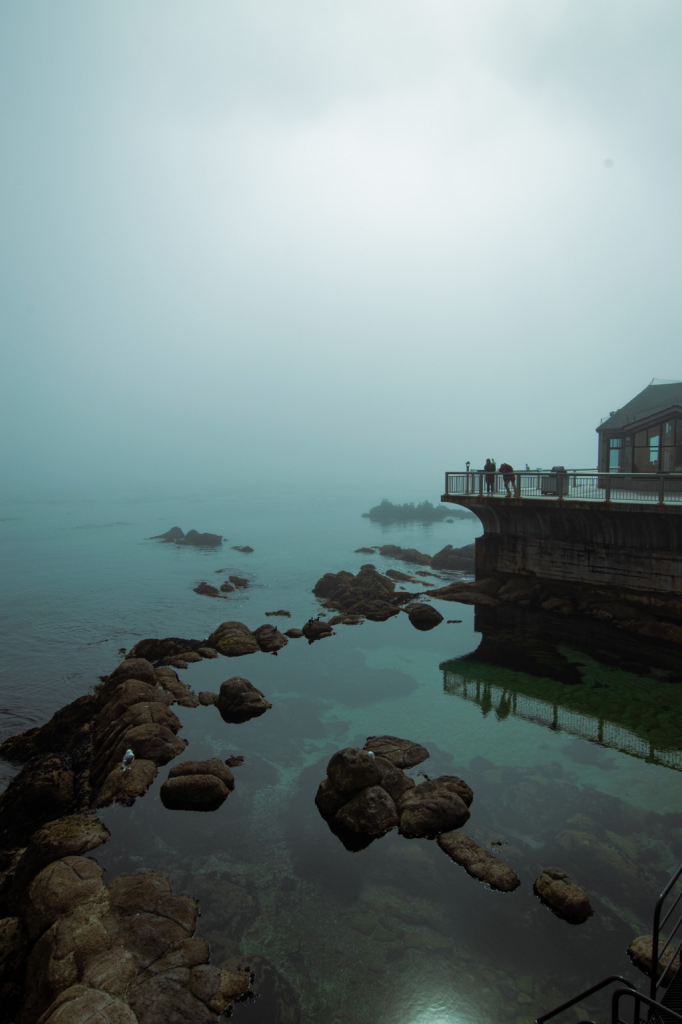 Picture of the shore at the Monterey Bay Aquarium. It is very foggy and the sea disappears into the sky in the distance. Some shallow pools in the foreground with big rocks. In the middle right, the aquarium building terrace with 2 silhouettes of people leaning on the balustrade. The whole photo is in tones of teal