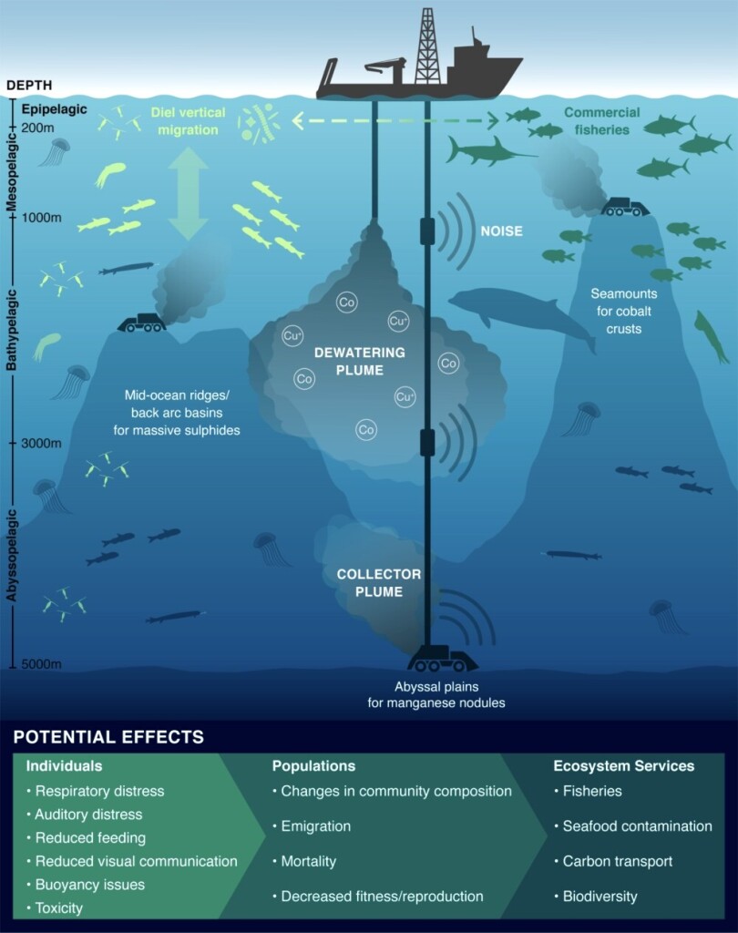 Drawing shows a mining ship on the surface of the ocean, extending a long drilling shaft downward.

POTENTIAL EFFECTS ON SEA LIFE:
Respiratory distress
Auditory distress
Reduced feeding
Reduced visual communication
Buoyancy issues
Toxicity
Decreased fitness/reproduction
Biodiversity loss