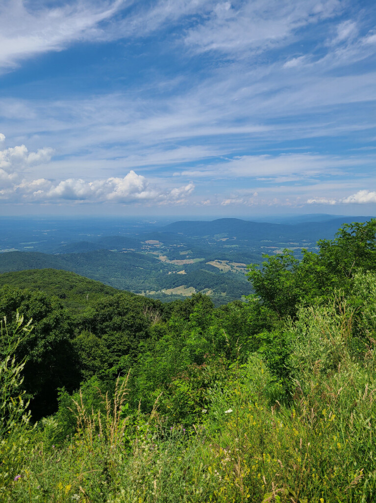 A summer landscape photograph looking down into the Shenandoah Valley