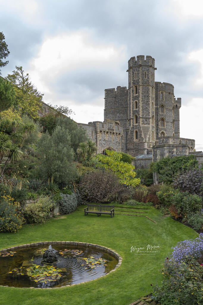 Windsor Castle Just Outside of London England

It is true Windsor Castle is not right in London, but it is worth the little side excursion to get there. Only a short drive away from the busyness of London, it is the burial site of the late beloved Queen Elizabeth II, and in close proximity to Oxford. The grounds are spectacular, the stories and history are required if you are attempting to understand England, and now the most beloved Queen of the Twentieth Century, Queen Elizabeth is buried there. Just that alone makes it worth experiencing, but imagine taking in a spectacular changing of the guards as well.

https://wayne-moran.pixels.com/featured/windsor-castle-gardens-london-england-wayne-moran.html

https://waynemoranphotography.com/blog/the-13-things-you-must-do-in-london-england/

#WindsorCastle #Windsor #Castle #UK #History #England #London #visitEngland #VisitLondon #Travel #TravelPhotography #BuyIntoArt #AYearForArt #architecture

