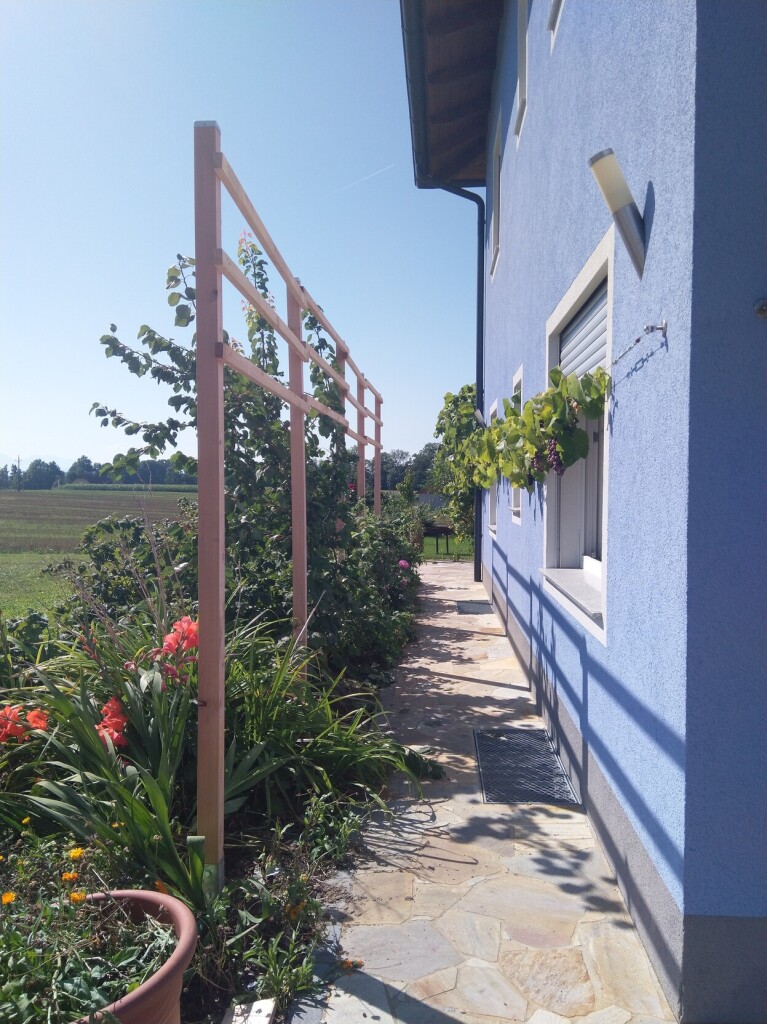 Gepflasterter Weg an der Hauswand, die rechts im Bild zu sehen ist. Links ein Garten mit Blumen und Himbeeren, darin steht das neu gebaute 2,5m Spalier aus Holz.