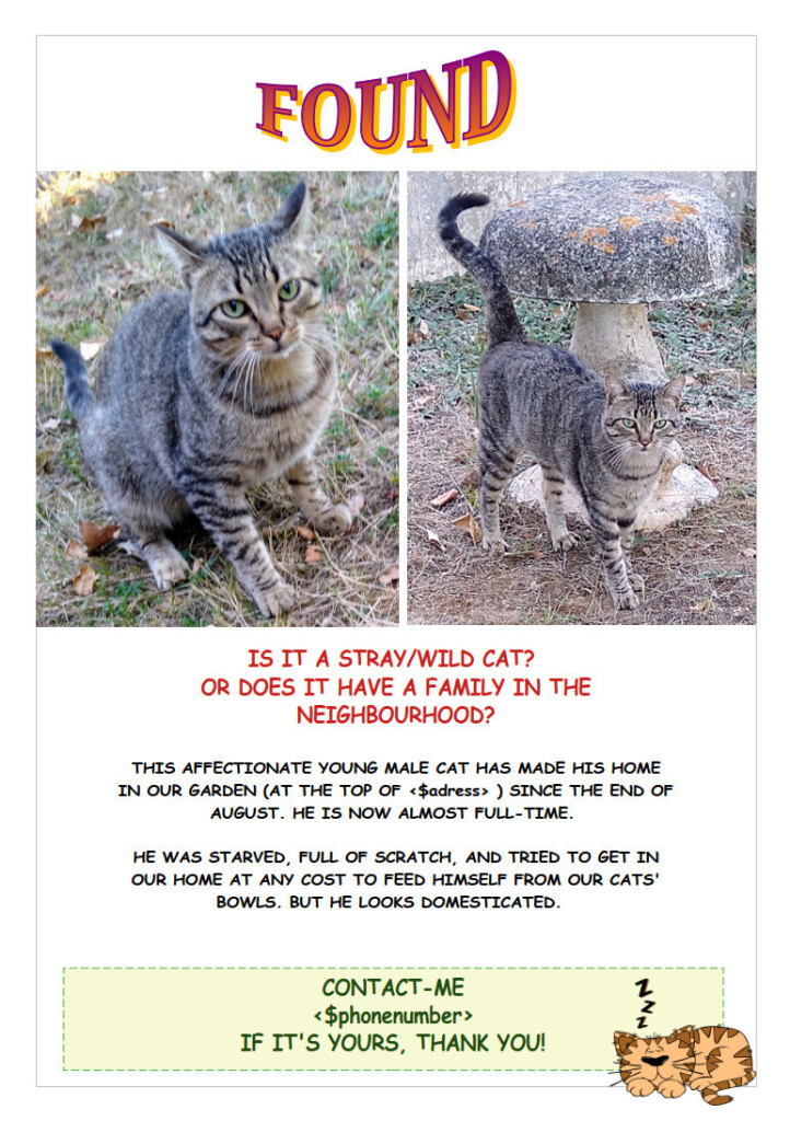 A screenshot of the search notice I printed in the neighbourhood, with two photos, bad "Ms Comic Sans" font, title art from the 90s and dotted frame, bad use of all caps, red colour, etc... 

"FOUND
THIS AFFECTIONATE YOUNG MALE CAT HAS MADE HIS HOME IN OUR GARDEN (AT THE TOP OF <$adress> ) SINCE THE END OF AUGUST. HE IS NOW ALMOST FULL-TIME. HE WAS STARVED, FULL OF SCRATCH, AND TRIED TO GET IN OUR HOME AT ANY COST TO FEED HIMSELF FROM OUR CATS' BOWLS. BUT HE LOOKS DOMESTICATED. 
CONTACT-ME <$phonenumber> IF IT'S YOURS, THANK YOU!
"