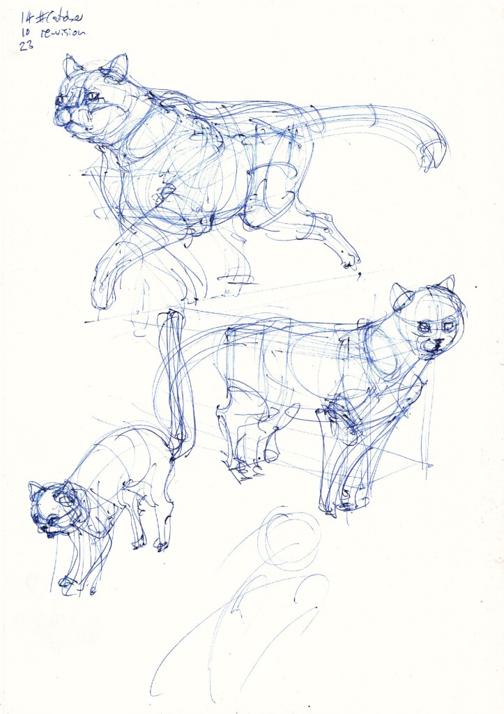 three construction studies of cats done from memory/imagination, in blue ballpoint pen