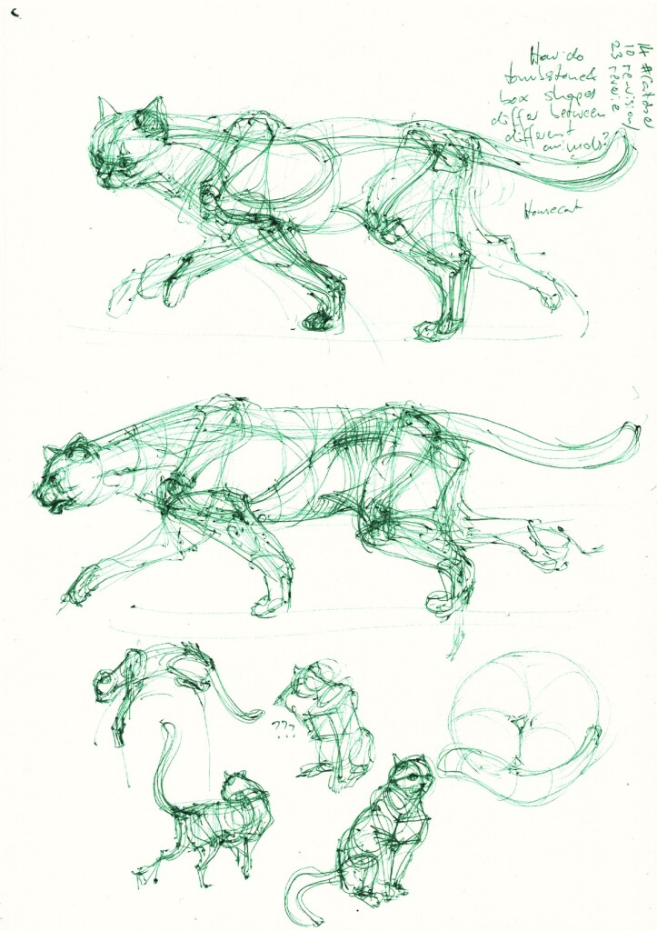 seven construction studies of cats done from memory/imagination, in green ballpoint pen, the two first ones much larger than the last five