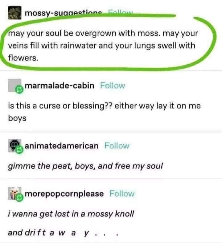 Exchange between four Tumblr Users:

User 1: May your soul be overgrown with moss. May your veins fill with rainwater and your lungs swell with flowers.

User 2: Is this a curse or a blessing?? Either way, lay it on me boys.

User 3: Gimme the peat, boys, and free my soul

User 4: I wanna get lost in a mossy knoll and drift away...