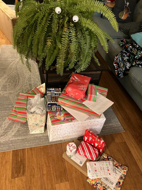 A pile of wrapped gifts is sitting beneath a potted fern propped on a coffee table. The fern foliage is reminiscent of the haircut of the Simpsons' character Sideshow Bob and two spherical eyes on sticks are planted in the pot to give it a face.