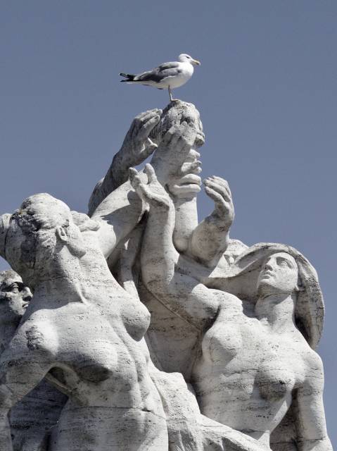 Silbermöwe auf der Figurengruppe “La fedeltà allo Statuto”, Ponte Vittorio Emanuele II, Rom