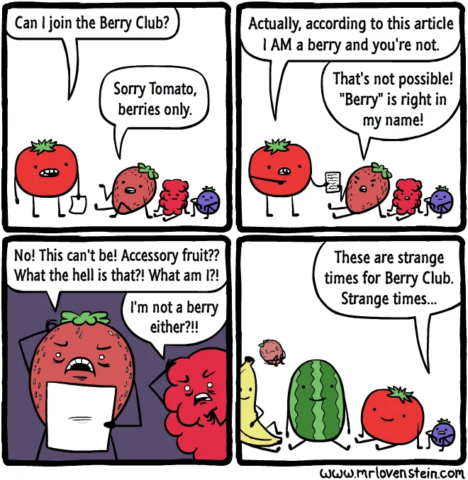 A comic about which fruits are part of the berry club.