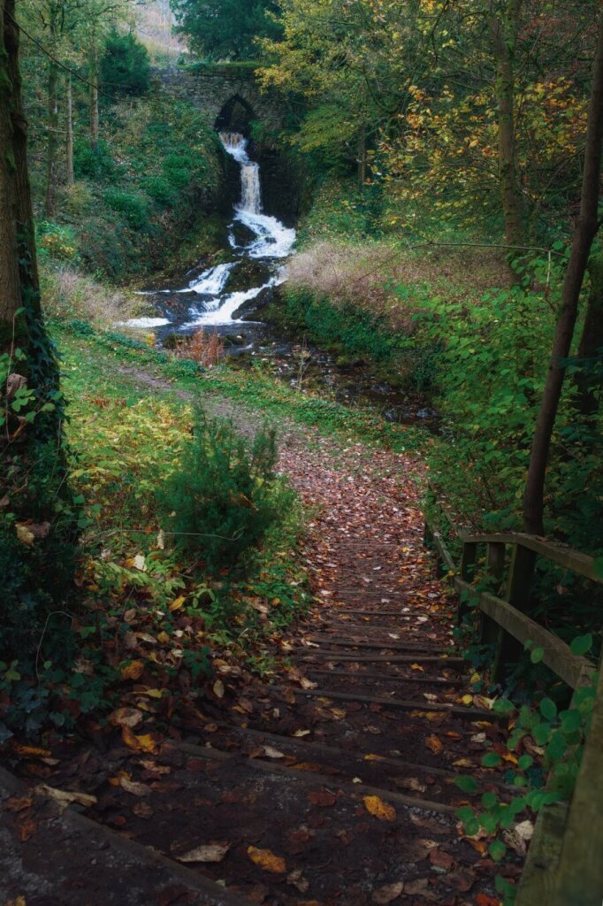 A stone footpath strewn with autumn leaves winds its way through verdant woodland towards a dramatic waterfall, which cascades through an ancient stone arch bridge in the Yorkshire Dales. The stepped path, bordered by a wooden handrail and lush vegetation, leads viewers' eyes naturally to the tumbling white waters of Clapham Beck as it flows through multiple tiers beneath the weathered stonework, whilst the surrounding trees display the golden hues of autumn.