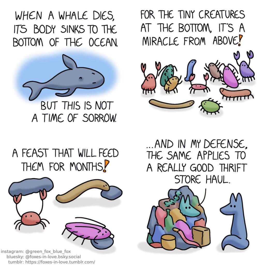 A comic of two foxes, one of whom is blue, the other is green. In this one, instead of the foxes, we see a lifeless whale sinking through water. Narration: When a whale dies, its body sinks to the bottom of the ocean. But this is not a time of sorrow.  A varying group of tiny little critters has gathered on the ocean floor, all peering up, some reaching up with whatever limbs they have, all cheerful of the magnificient bounty approaching them. Narration: For the tiny creatures at the bottom, it's a miracle from above!  Holding varying pieces of whale carcass in their teeth, claws, or forelegs, the tiny creatures happily skitter away. Narration: A feast that will feed them for months!  Finally, we reach the foxes. Blue is calmly looking at Green, who is looking at him from the middle of his massive pile of random apparel, items and knickknacks. Green: ...And in my defense, the same applies to a really good thrift store haul.