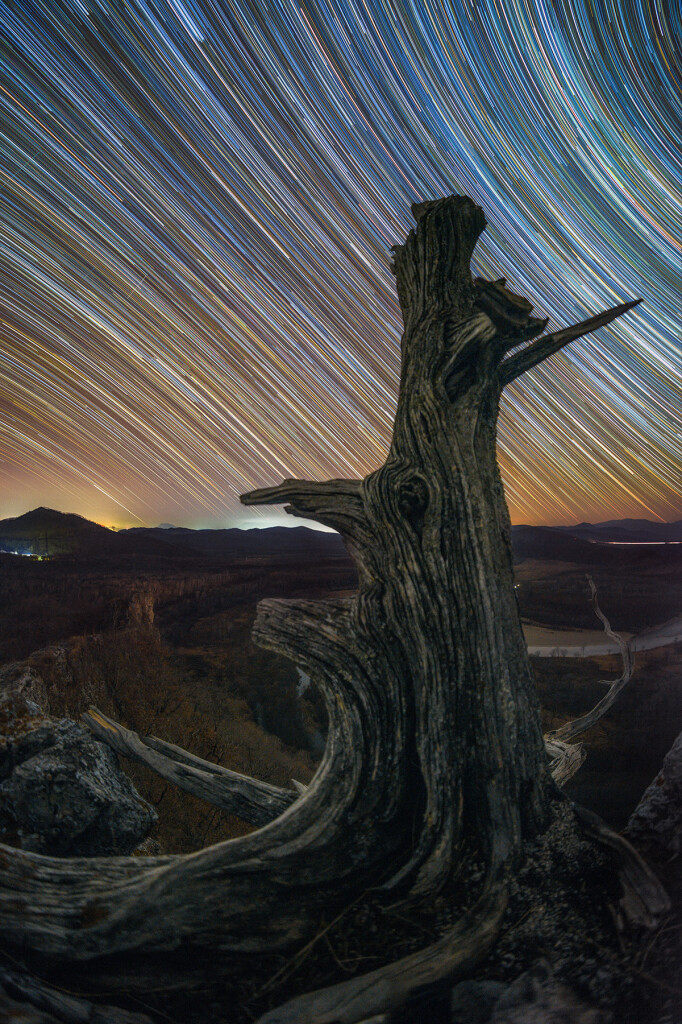 2019 December 7
Lines of Time
 * Image Credit & Copyright: Anton Komlev

Explanation: 
In time stars trace lines through the night sky on a rotating planet. Taken over two hours or more, these digitally added consecutive exposures were made with a camera and wide angle lens fixed to a tripod near Orel farm, Primorsky Krai, Russia, planet Earth. The stars trail in concentric arcs around the planet's south celestial pole below the scene's horizon, and north celestial pole off the frame at the upper right. Combined, the many short exposures also bring out the pretty star colours. Bluish trails are from stars hotter than Earth's Sun, while yellowish trails are from cooler stars. A long time ago this tree blossomed, but now reveals the passage of time in the wrinkled and weathered lines of its remains. 

Authors & editors: Robert Nemiroff (MTU) & Jerry Bonnell (UMCP)
NASA Official: Phillip Newman Specific rights apply.
NASA Web Privacy Policy and Important Notices
A service of: ASD at NASA / GSFC
& Michigan Tech. U.