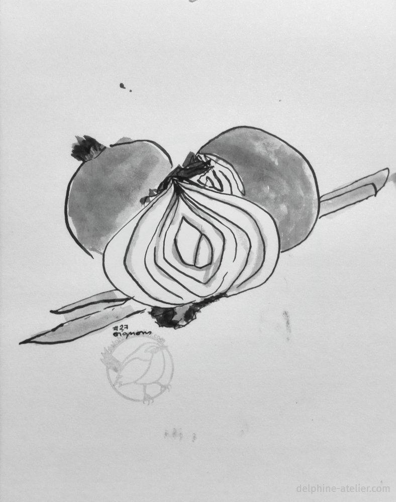Dessin à l'encre d'un demi oignon avec son autre moitié derrière et un autre oignon entier