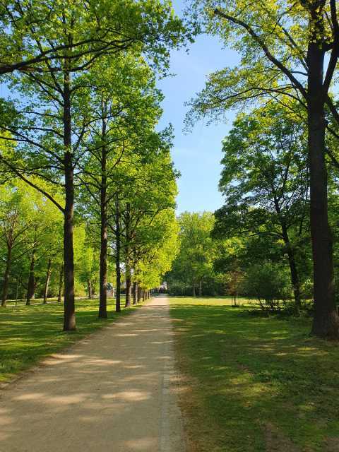 Ein sonniger Tag im Park. Zu sehen sind grüne Wiesen, Bäume und ein Weg der zentral im Bild gen bewaldetem Horizont verläuft.