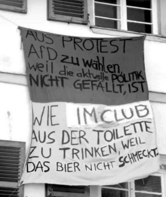 Aus Protest AFD zu wählen, weil die aktuelle Politik nicht gefällt, ist wie im Club aus der Toilette zu trinken, weil das Bier nicht schmeckt.