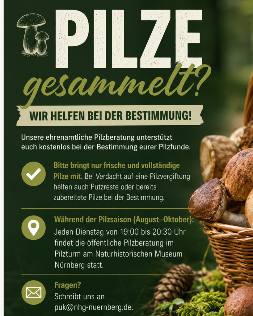 Plakat mit Pilzberatungshinweisen und Korb voller Pilze auf grünem Hintergrund