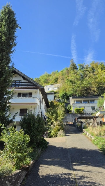Eine ansteigende asphaltierte Straße führt zwischen Wohnhäusern und dichtem Grün einen Hang hinauf.