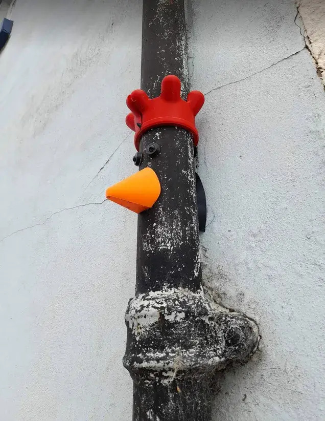 A street art installation to a drainpipe that resembles Feathers McGraw, the notorious penguin villain disguised as a chicken from Wallace and Gromit by Aardvark