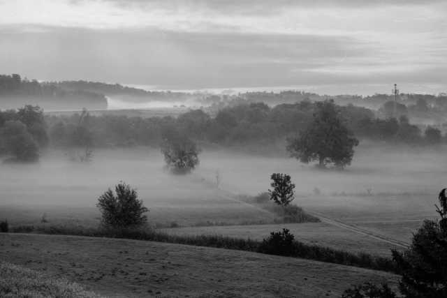 Morgennebel über den Feldern, sw