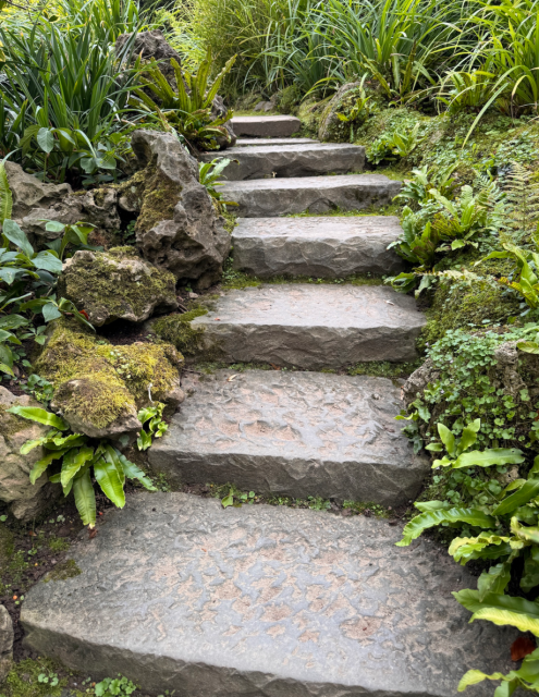 Steintreppe mit unregelmäßigen Stufen, die von dichtem Grün und Moos bewachsenen Felsen gesäumt wird. Verschiedene Pflanzen wachsen zwischen den Steinen und am Rand, wodurch die Szene einen natürlichen und verwunschenen Eindruck erhält.