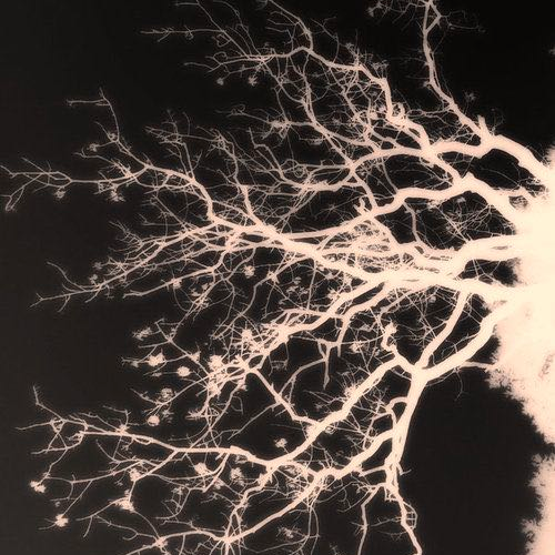 Release Dendrite 0.5.0 · matrix-org/dendrite
