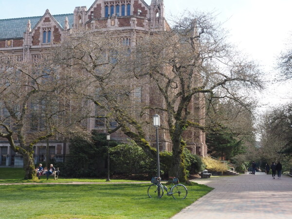 University of Washington Quad