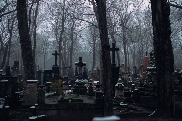 A dark winter cemetary with lots of skeletal trees in rows and stone crosses and headstones rising up in almost-silhouette against the pale grey sky.