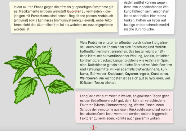 Merkblatt LongCovid Prävention