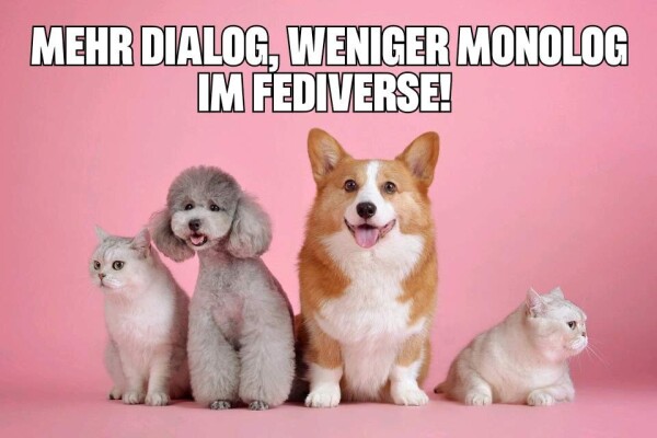 Foto von einer Katze, einem Hund, einem Hund und einer Katze, die nebeneinander sitzen. Darüber steht: Mehr Dialog, weniger Monolog im Fediverse!