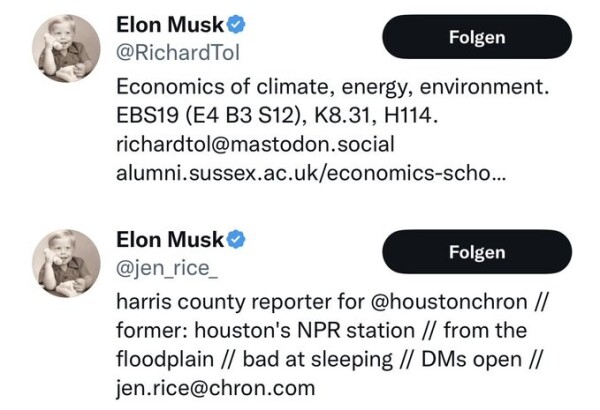 Two more people on Twitter, all with the verification badge, all named Elon Musk.