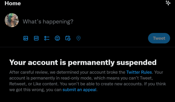 Screenshot of the Twitter homepage for the account CeriGotGame, saying that the account is suspended (when I tried to deactivate it on my own)