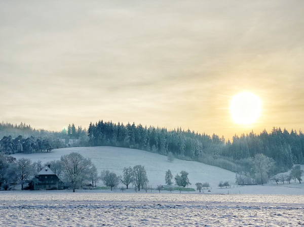 Black Forest house and snowy landscape with weak sun.