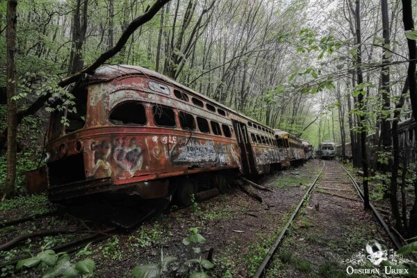 Trolley car graveyard 