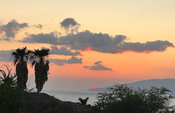 Sunset over Lanai from Maui. Two shaggy palm trees on the left. 