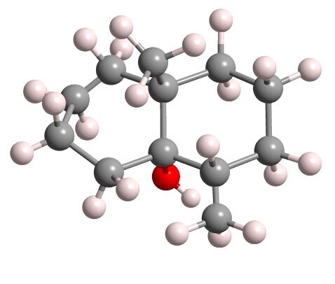 A tinker-toy model of the molecule geosmin, the primary component of the smell of newly fallen rain. 