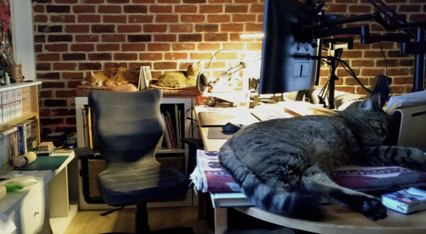 A photo of my desk with three cats sleeping around it. A microphone, a shelves with mangas, my tablet and a dual screen setup are visible. In the background, a wall made of bricks.