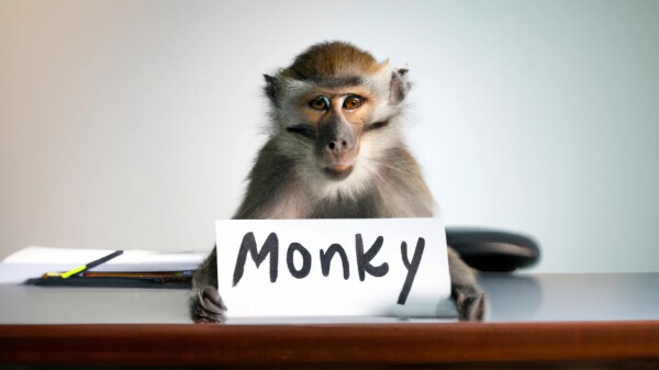 A monkey holding up a name tag that says "Monky"