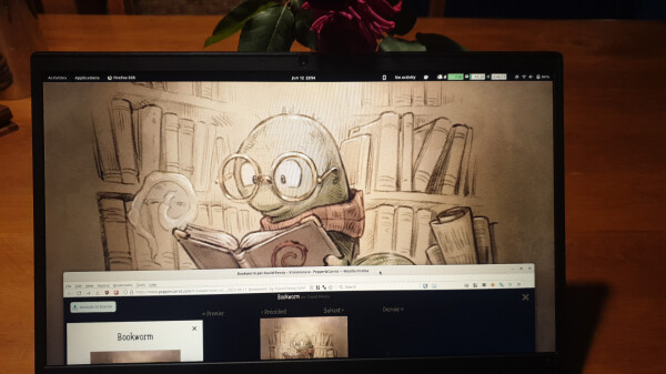 Laptop screen with bookworm background, browser with same image.