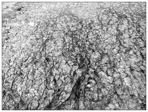 A black and white photograph showing a cracked, parched river bed through shallow water. Deep scars pass from the bottom of the frame, emanating upwards like branches.