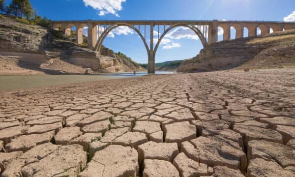 Extreme drought in Entrepenas reservoir, in Guadalajara, Spain. Photograph: agefotostock/Alamy