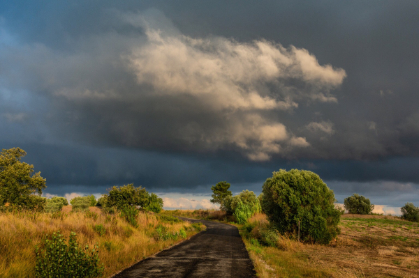 Looking down a country road with late afternoon light towards a rainy cloud