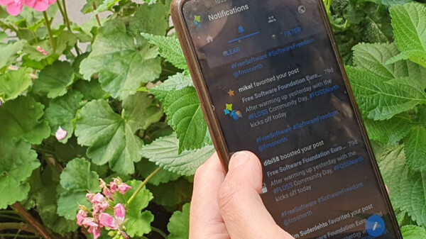 Hand holding a smartphone with the Mastodon app  in a flowery background