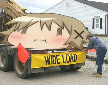 WIDE LOAD