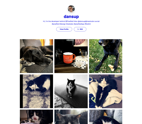 Pixelfed portfolio screenshot of https://portfolio.pixelfed.social/dansup