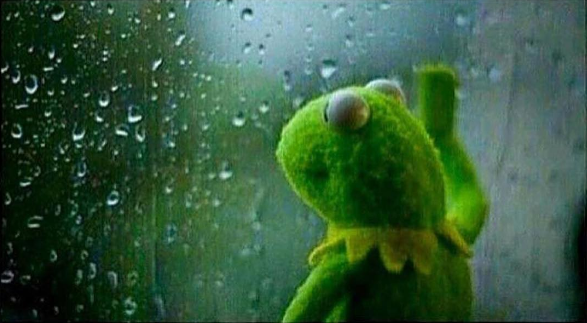 A photograph of Kermit the Frog staring out of the window. The window has been drenched by the rain. Kermit appears to be smiling, but there's something very melancholic about the smile.