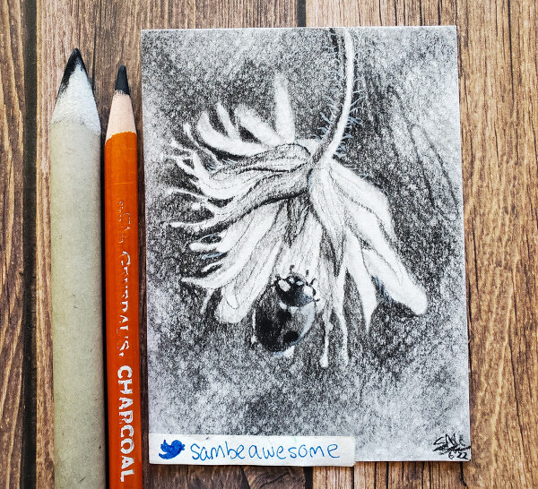 A photo of a realistic charcoal drawing of a flower facing downward with a ladybug climbing up from the bottom. A faded gradient is around the flower, as the charcoal gets lighter toward the edges of the paper. The pencil and blender used to make the artwork are next to it for the social media photo op.