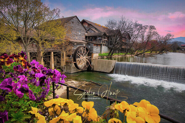 The Old Mill at Pigeon Forge at Sunset with beautiful pink and yellow flowers in the foreground, sunset in the background, and peaceful mill stream flowing between. Digital artwork by Shelia Hunt Photography.