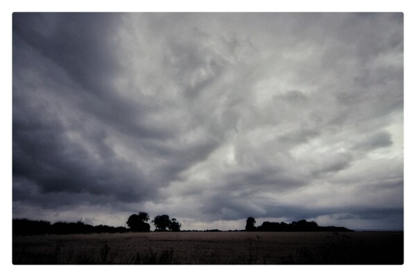 Storm clouds form over a wheat field.