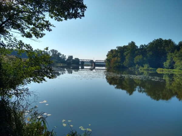 Fotografia z północno-zachodniego brzegu jeziora. Most jest widoczny w oddali na planie błękitnego nieba i jego odbicia w wodzie jeziora. Lewy koniec mostu jest widoczny poprzez drzewa tam rosnące, prawy jest zakryty bliższymi drzewami.