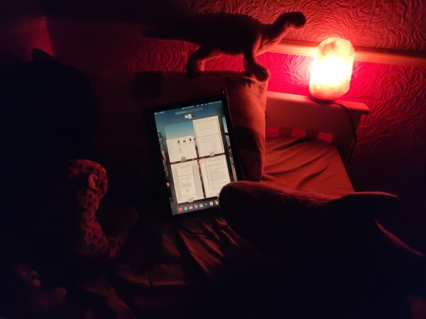 My plushies gathering around the tablet for some bedtime reading :)